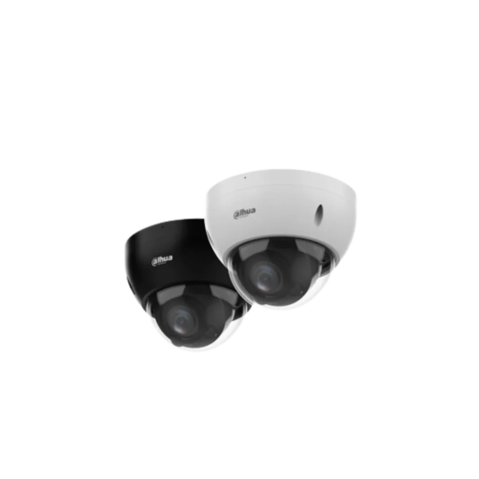 Dahua dome security cameras